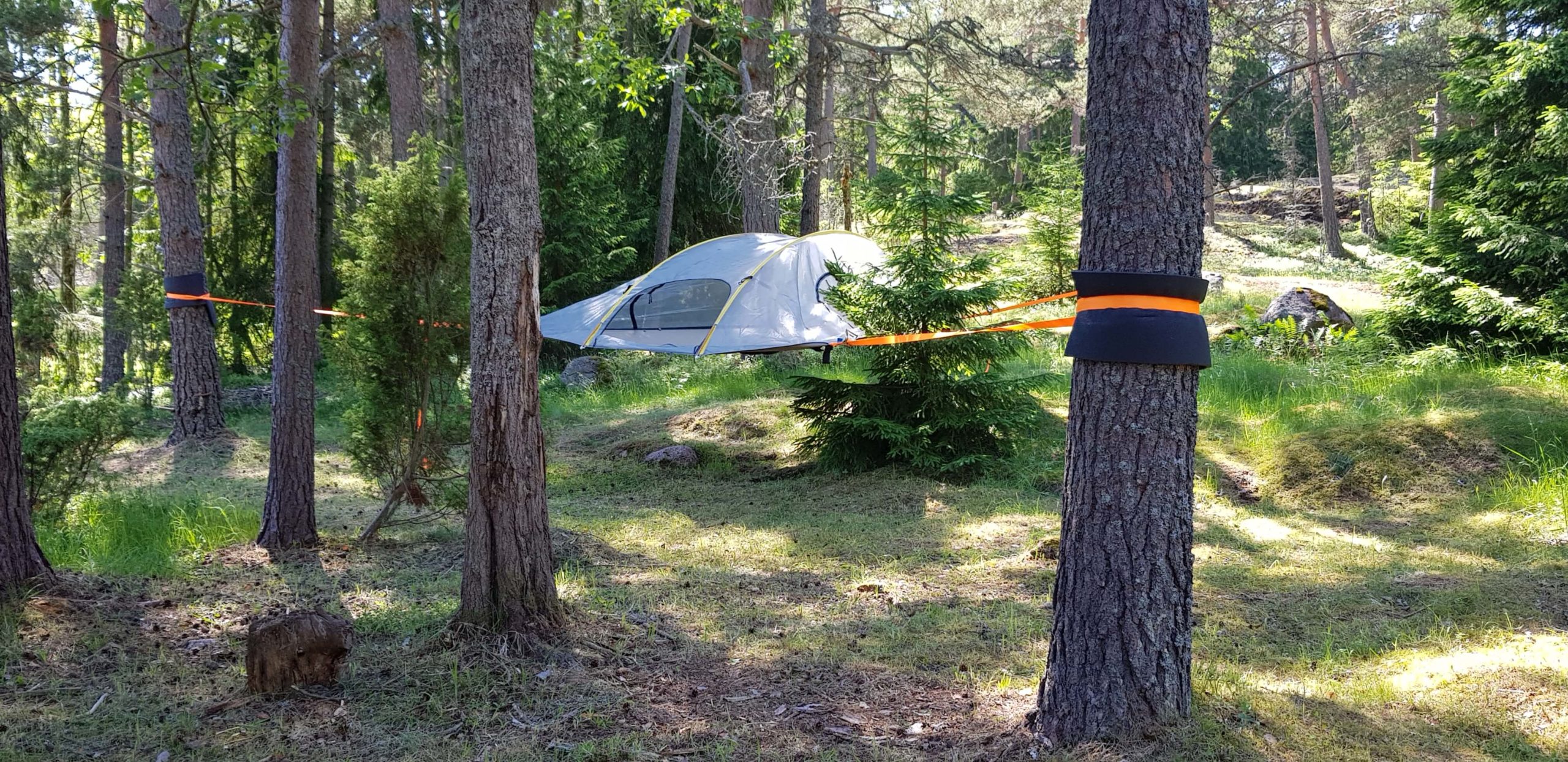 Tree tent