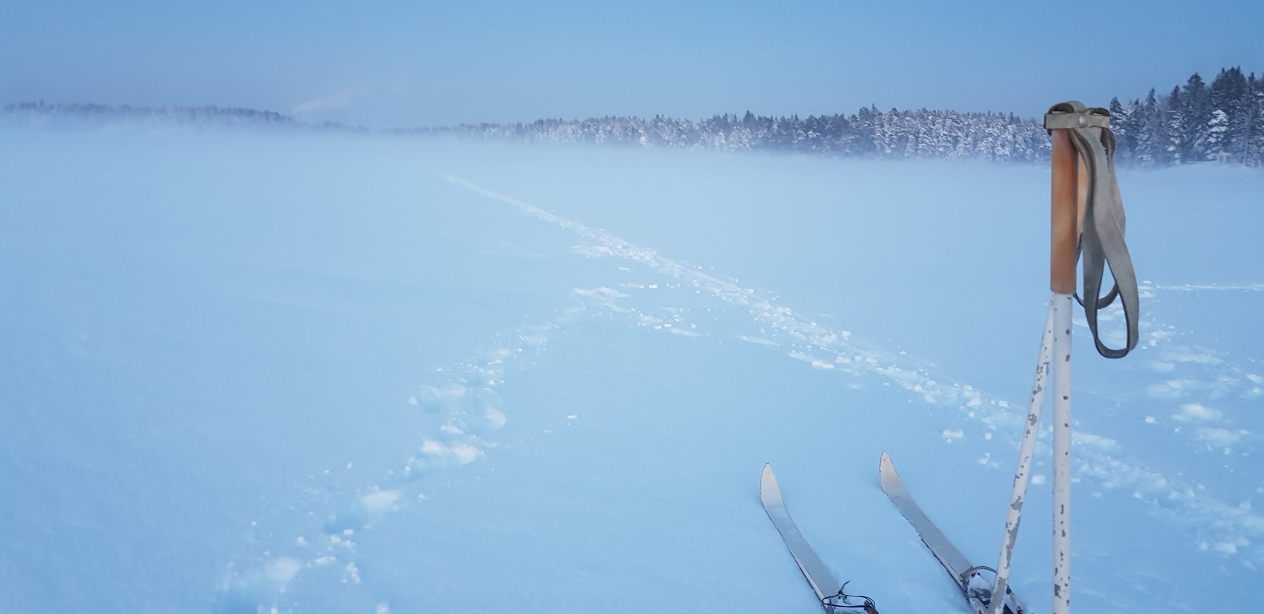 Skiing on sea ice