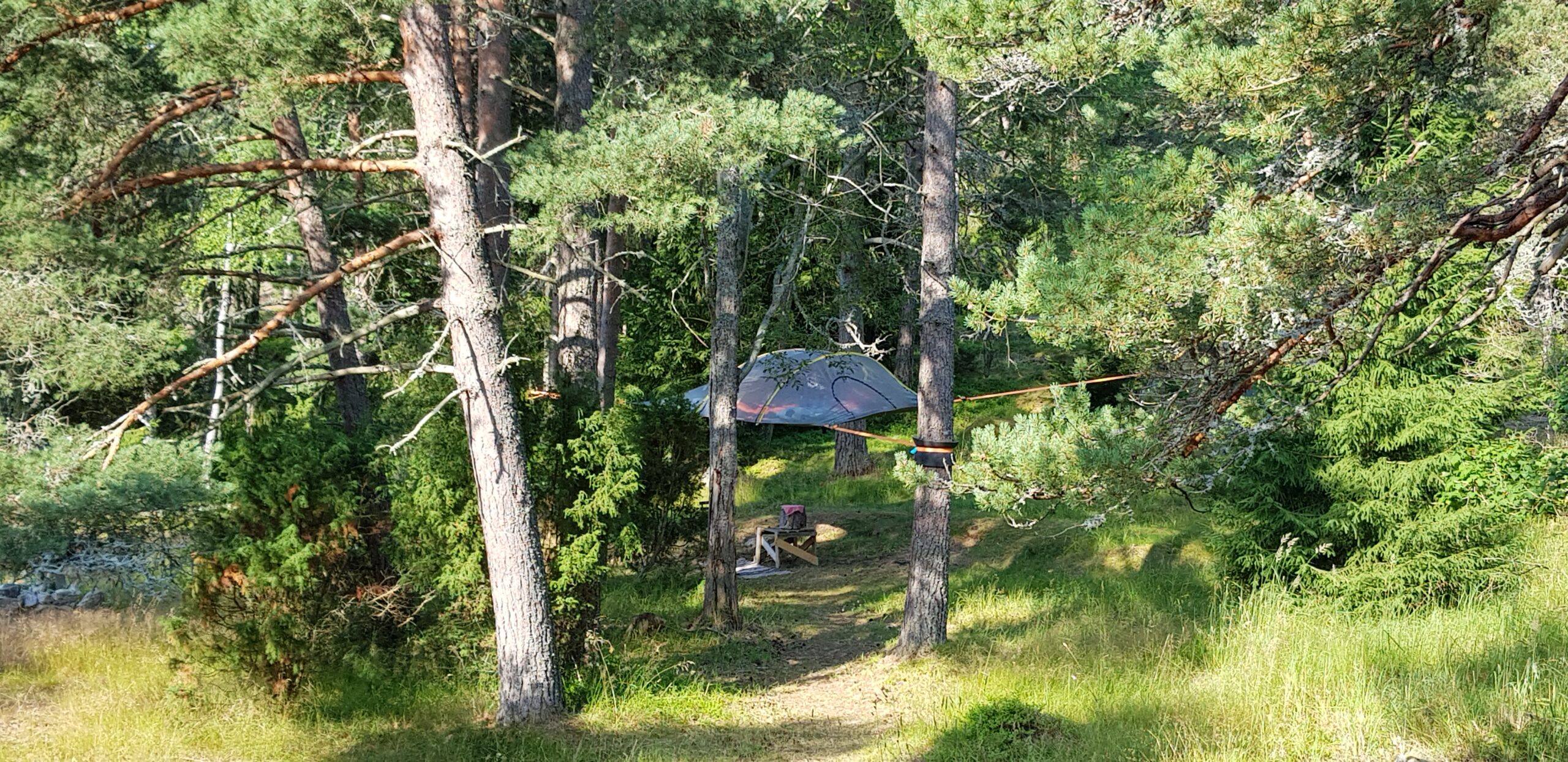 Tent hanging high up between the trees